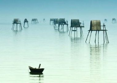 Que l'on fait à Thai Binh ?