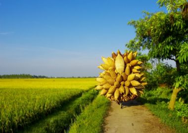 Hung Yen Province a cote de Hanoi