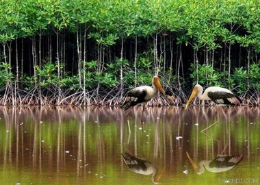 La province de Trà Vinh - Voyage au Sud Vietnam