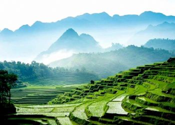 Réserve naturelle de Pu Luong et province Thanh Hoa