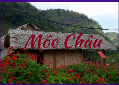 Pourquoi visiter Mộc Châu?