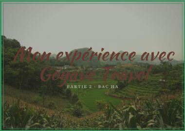 Mon Expérience avec Goyave Travel - Partie 2