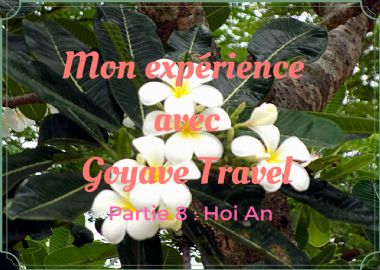 Mon Expérience avec Goyave Travel - Partie 8