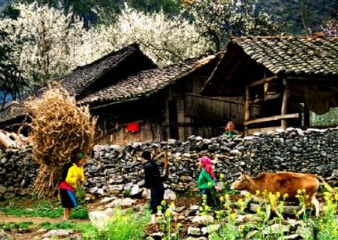 La province d’Ha Giang - visiter des minorités