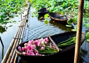 Long An - delta du Mékong