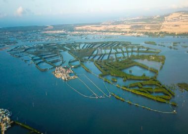 Visite îlot écologique de Cồn Chim – Binh Dinh