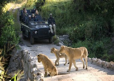 Découvrir les lieux d'intérêts en Afrique du Sud