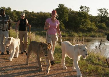 L’écotourisme au Limpopo