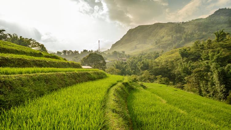 Le Nord du Vietnam 1