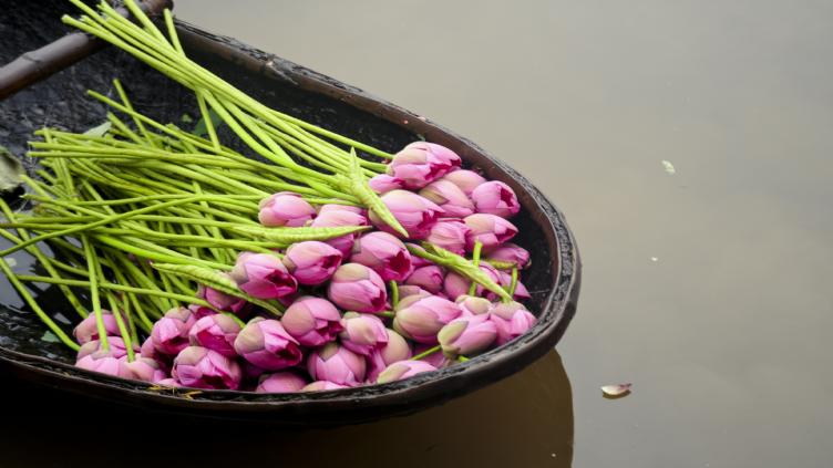 Circuit authentique au Nord-est du Vietnam 1