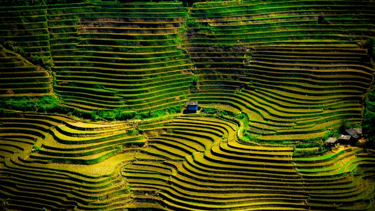Randonnée à Sapa 4 jours 1
