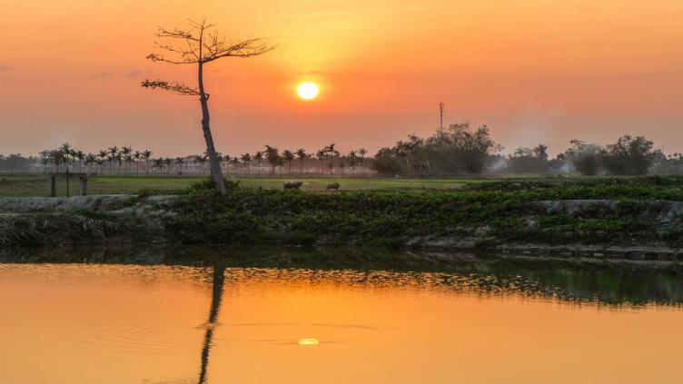 Village de Tra Que 1