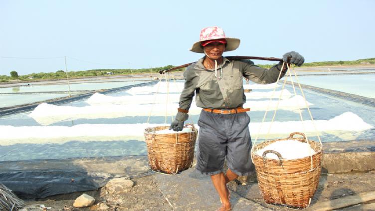 La vie sauvage au Delta du Mekong 3
