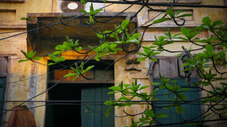 Douceur du Vietnam 2