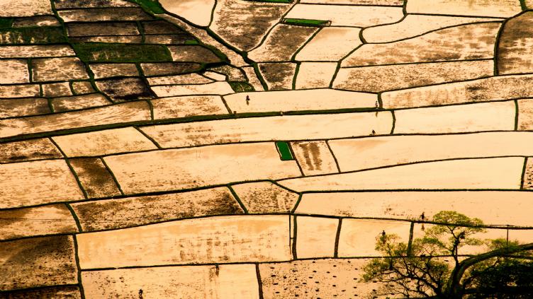 Trésors du Vietnam 1