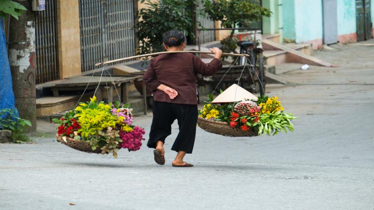 Du Sud au Nord du Vietnam 1