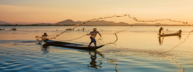 La vie sauvage au Delta du Mekong 1
