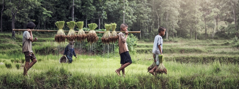 Odyssée du Nord au Vietnam au Laos 1