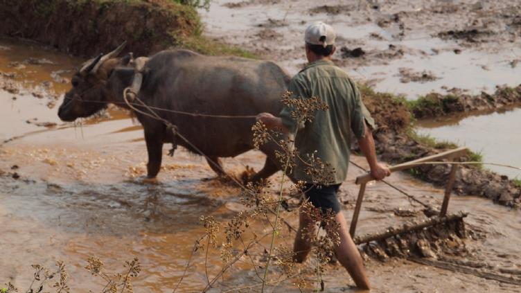 Odyssée du Nord au Vietnam au Laos 1