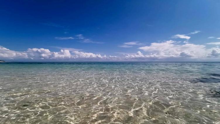 Lune De Miel En Afrique: safari et plages de sable fin 2