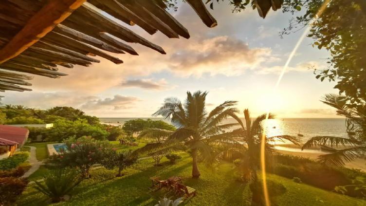 Lune De Miel En Afrique: safari et plages de sable fin 3
