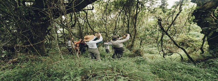 Afrique du Sud Hors des sentiers battus Safaris en terre Tsonga 7
