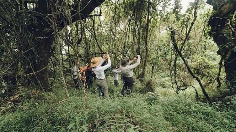 Afrique du Sud Hors des sentiers battus Safaris en terre Tsonga 7