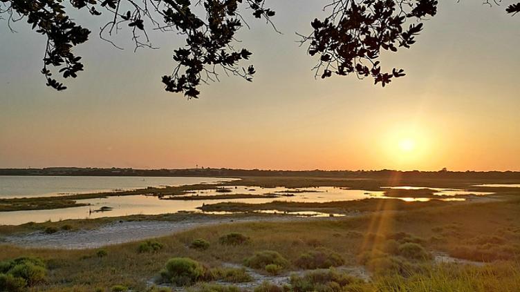 Afrique du Sud Hors des sentiers battus Safaris en terre Tsonga 8