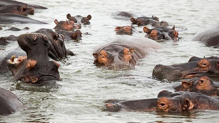 Afrique du Sud Hors des sentiers battus Safaris en terre Tsonga 10