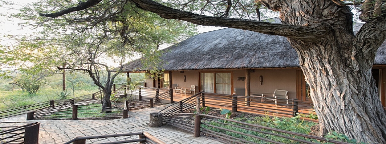 Tour d’horizon : Kruger, Le Cap et la route des jardins 3