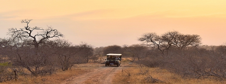 Tour d’horizon : Kruger, Le Cap et la route des jardins 4