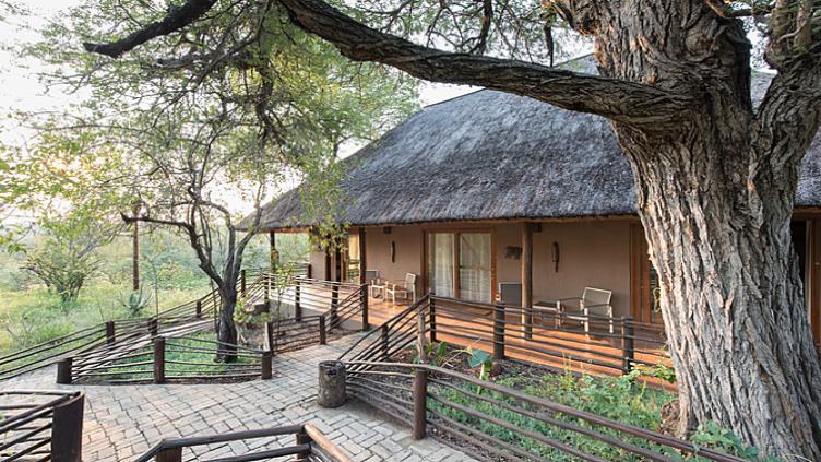 Tour d’horizon : Kruger, Le Cap et la route des jardins 3