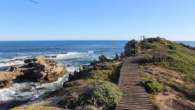 Tour d’horizon : Kruger, Le Cap et la route des jardins 12