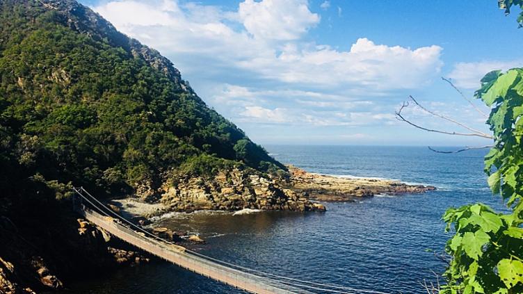 Tour d’horizon : Kruger, Le Cap et la route des jardins 13