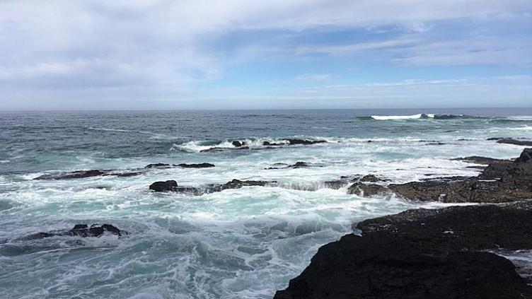 Tour d’horizon : Kruger, Le Cap et la route des jardins 14