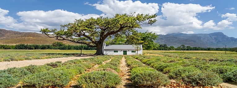 Aventure en famille au pays arc-en-ciel 3