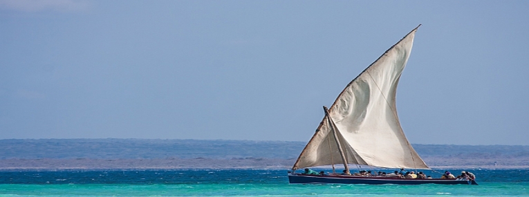 L'Afrique du Sud: Le Cap, safari et plage 5