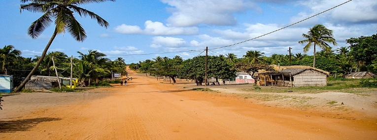 L'Afrique du Sud: Le Cap, safari et plage 6
