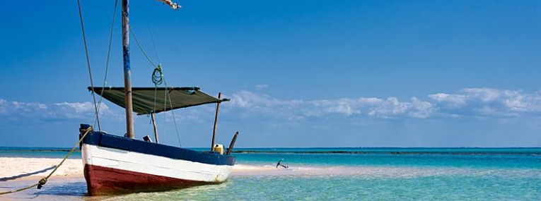 L'Afrique du Sud: Le Cap, safari et plage 10