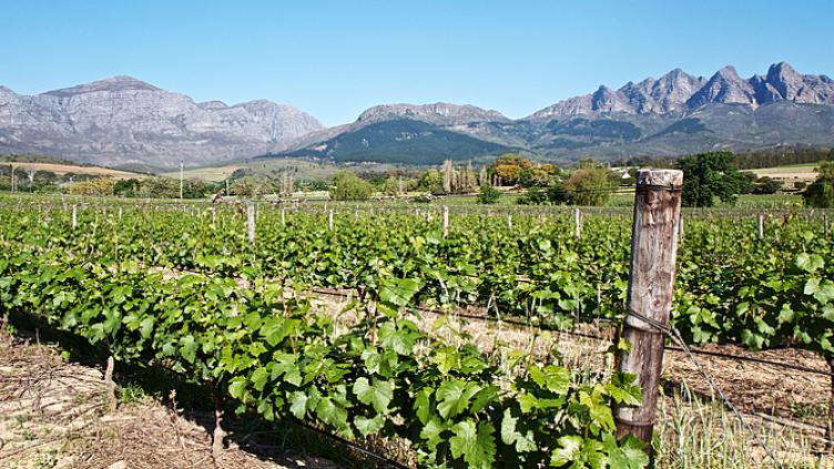L'Afrique du Sud: Le Cap, safari et plage 1