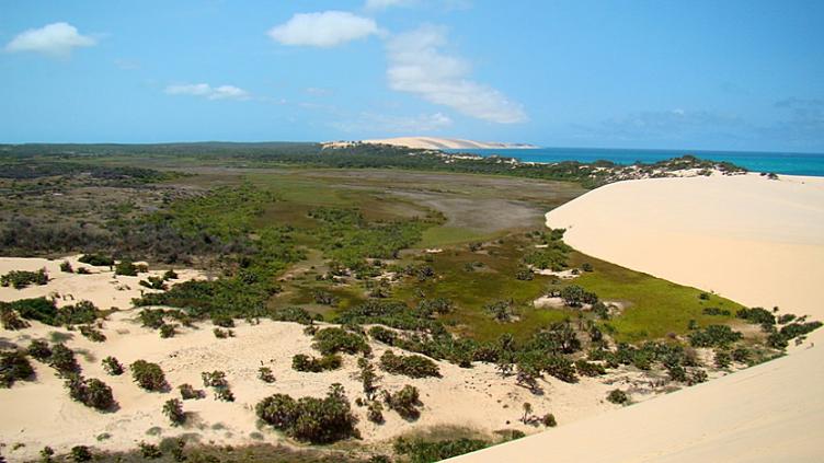 L'Afrique du Sud: Le Cap, safari et plage 2