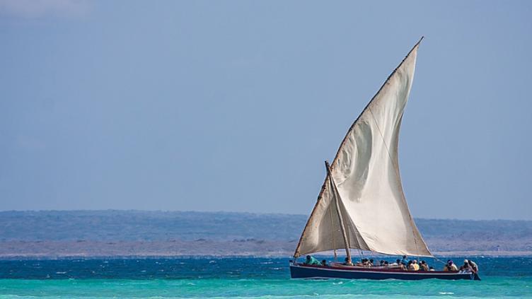 L'Afrique du Sud: Le Cap, safari et plage 5