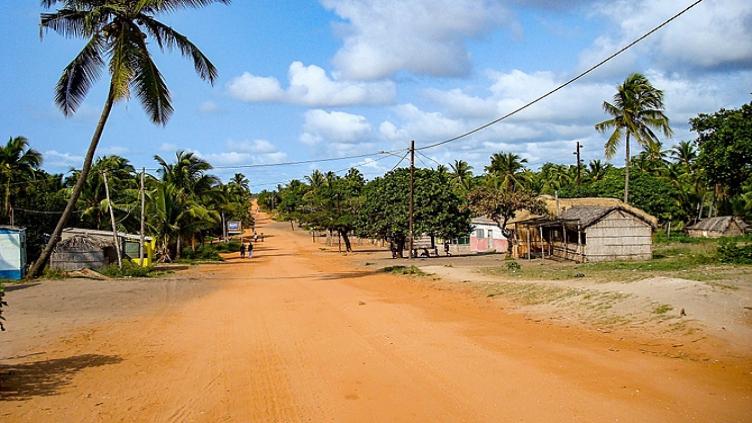 L'Afrique du Sud: Le Cap, safari et plage 6