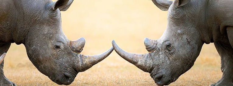 L'essentiel du pays arc-en-ciel 1