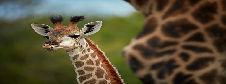 L'essentiel du pays arc-en-ciel 5