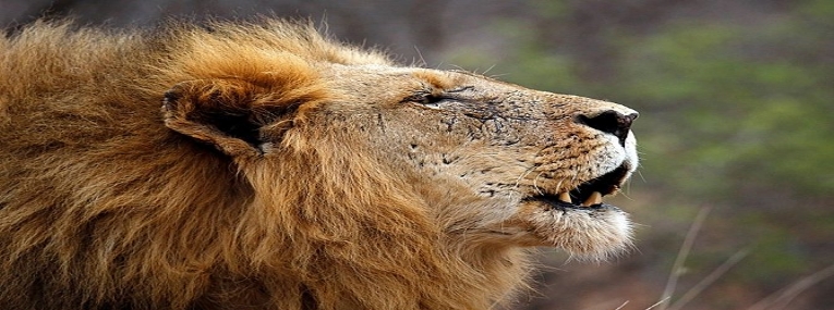 L'essentiel du pays arc-en-ciel 6