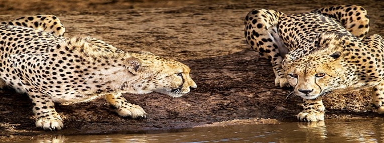 Sur la route des jardins - Entre la terre et la mer 4