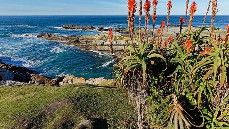 Sur la route des jardins - Entre la terre et la mer 1