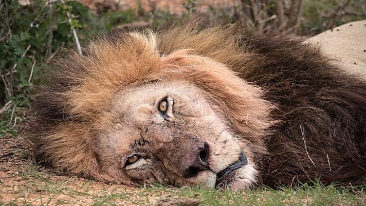 Sur la route des jardins - Entre la terre et la mer 6