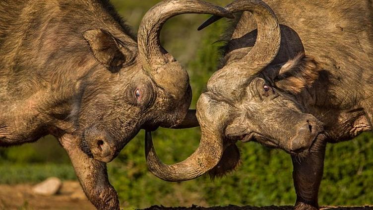 Sur la route des jardins - Entre la terre et la mer 7